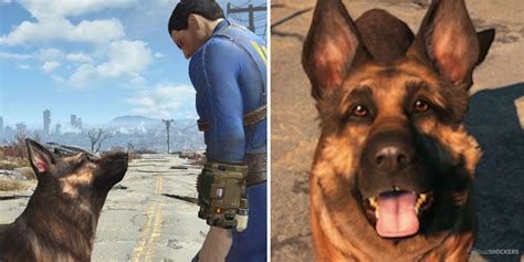 fallout 4 how to call dog|locate dogmeat in fallout 4.